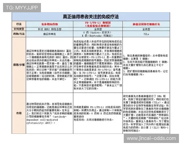 波胆最高赔率是多少避坑指南品牌入口下载评测